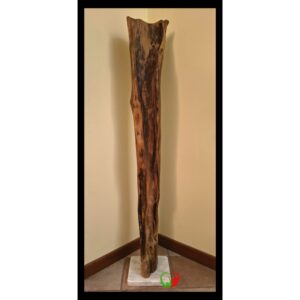Scultura Slancio